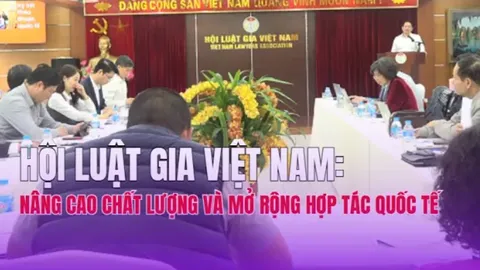 Hội Luật gia Việt Nam: Nâng cao chất lượng và mở rộng hợp tác quốc tế trong thời kỳ mới