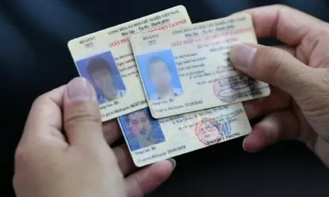 Chi tiết 15 hạng giấy phép lái xe theo quy định mới nhất