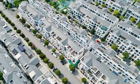 Đầu tư và dịch vụ T&T: Ông lớn BĐS, đầu bảng nợ thuế ở Vĩnh Phúc