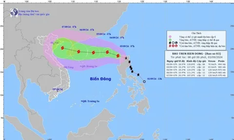 "Siêu bão" Yagi liệu có đổ bộ vào Việt Nam?