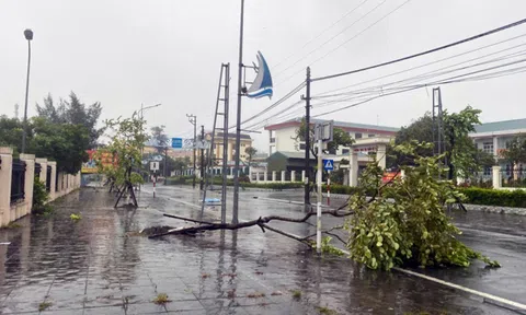 Huyện đảo Cô Tô (Quảng Ninh), Bạch Long Vĩ (Hải Phòng) có gió mạnh lên tới cấp 14, giật cấp 15, 16