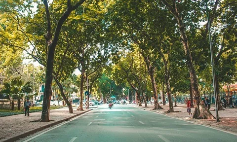 Tin dự báo thời tiết mới nhất ngày 22/11: Bắc Bộ ngày nắng, đêm và sáng sớm trời rét