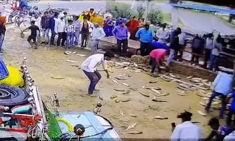 Clip: Thót tim cảnh xe chở cá mất lái, lao thẳng vào tường