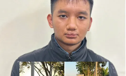 Danh tính kẻ gây ra 2 vụ cướp ô tô, đánh người tử vong ở Sóc Sơn, Hà Nội