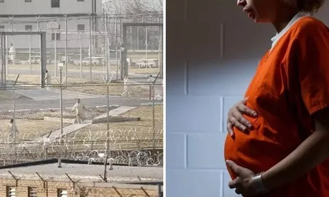 Chấn động: 2 tù nhân có con với nhau dù chưa từng gặp mặt