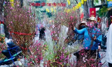 Thủ tướng đồng ý Tết Nguyên đán Ất Tỵ nghỉ 9 ngày, từ 25/1 đến 2/2/2025