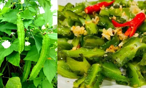 Một loại rau giá chỉ vài nghìn đồng nhưng lại bổ hơn nhân sâm tổ yến