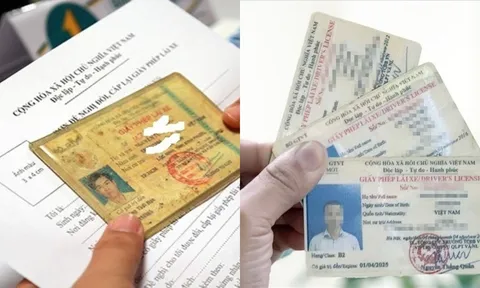 Thông tin mới về 6 trường hợp được đổi, cấp lại giấy phép lái xe