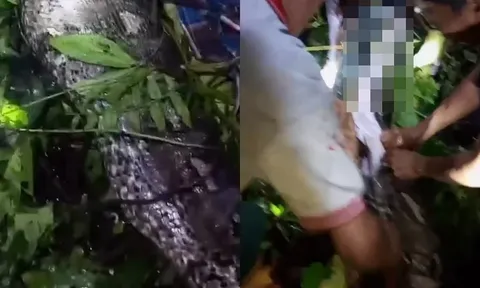 Clip: Người đàn ông cao 1m6 được lấy ra từ bụng 1 con trăn