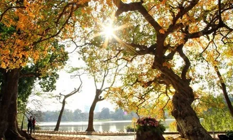 Tin dự báo thời tiết mới nhất ngày 01/12: Ngày nắng đẹp trên cả nước