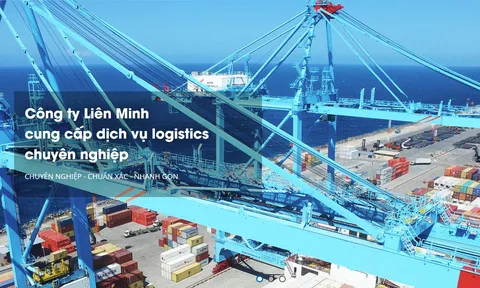 Bức tranh tài chính của Công ty Liên Minh thế nào mà nhiều lần thế chấp tài sản tại ngân hàng