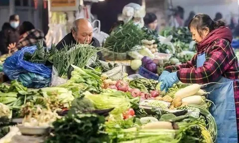 Ăn cải thảo mỗi ngày, người phụ nữ nhận kết quả bất ngờ sau lần tái khám bệnh