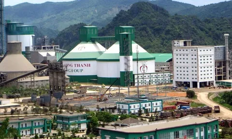 Vì sao Xi măng Công Thanh bị xử phạt hơn 500 triệu đồng?