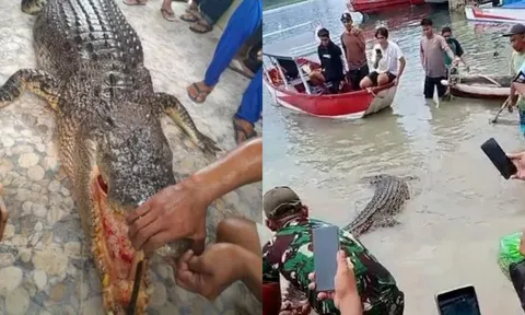 Bất lực nhìn cá sấu khổng lồ ngoi lên mặt nước tấn công người phụ nữ
