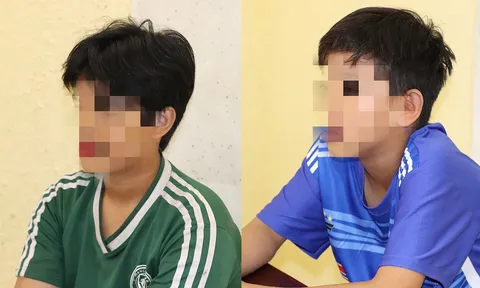 Vụ cụ bà 70 tuổi bị sát hại ở Sóc Trăng: Gây án xong 2 nghi phạm 13 tuổi đi chơi game