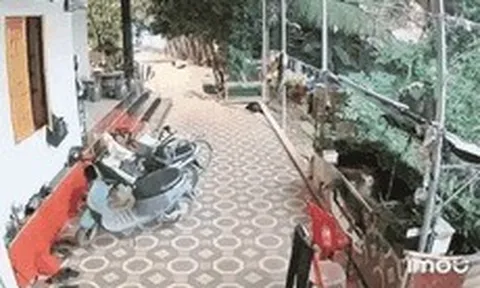 Clip: Điều tra vụ nổ lớn ở Nghệ An khiến 3 người thương vong