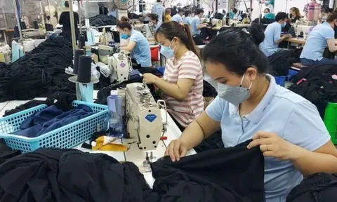 Thông tin về người nhận lương cao nhất ở TP.HCM 10,3 tỷ đồng/năm