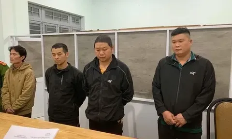 Nhóm đối tượng dùng nước “kẹo” sản xuất giá đỗ có thể đối diện mức án nào?