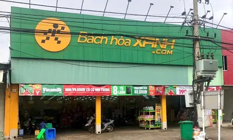 Vụ giá đỗ ngâm hoá chất ở Đắk Lắk: Bách Hóa Xanh nói gì trước thông tin được cung cấp gần 400kg/ngày