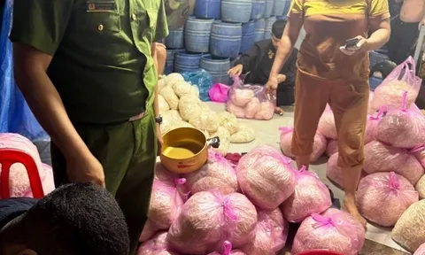 Thêm một cơ sở dùng "nước kẹo" 6-Benzylaminopurine "đầu độc" người tiêu dùng bằng giá đỗ bị phát hiện