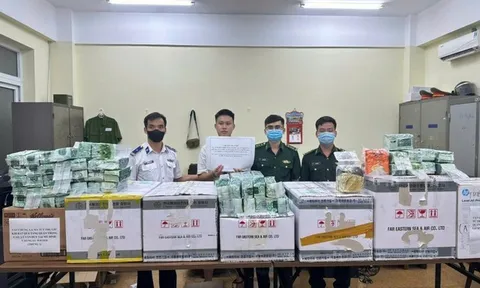 Những chuyên án ma túy 'khủng' bị triệt phá trong năm 2024