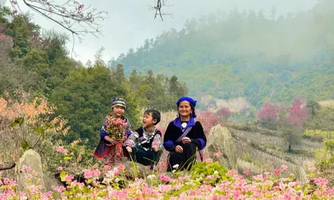 Dự báo thời tiết ngày 02/01: Miền Bắc từ 11 độ, miền Nam sẽ mưa trái mùa