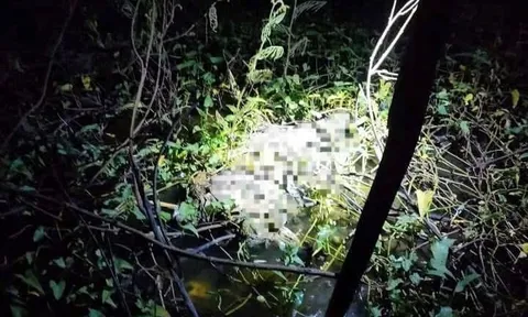 Điểm lạ tại nơi phát hiện bộ xương người dưới mương nước ở TP.HCM