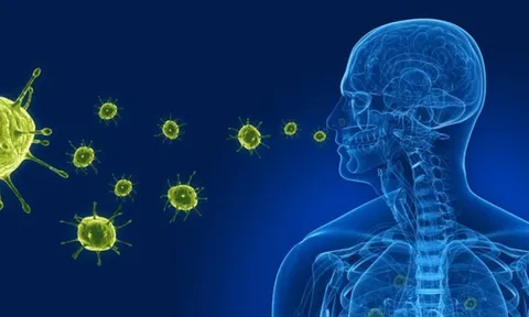 Virus gây viêm phổi trên người tại Trung Quốc: Bộ Y tế nói gì?