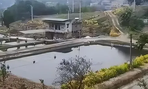 Lão nông nghèo từ câu trộm 7 triệu tiền điện đến 22 nhát dao oan nghiệt, bản án của tòa gây bất ngờ