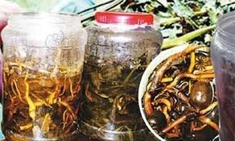 Uống rượu ngâm cây rừng, 1 người tử vong, 4 người nhập viện sức khoẻ ra sao?