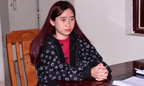 Tạm giữ người phụ nữ dẫn bé gái 4 tuổi ra khỏi trường mầm non, đình chỉ hai giáo viên