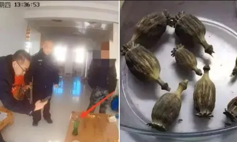 Cậu bé 10 tuổi báo cảnh sát bắt luôn cha mình vì bị mắng không làm bài tập về nhà