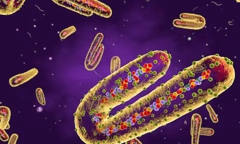 Loại virus khiến người bệnh trông giống như "ma", chưa có thuốc chữa nguy hiểm thế nào?