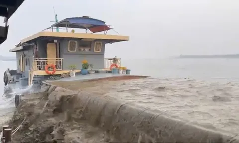 Clip: Các đối tượng khai thác cát trái phép quy mô lớn trên sông Hồng là ai?