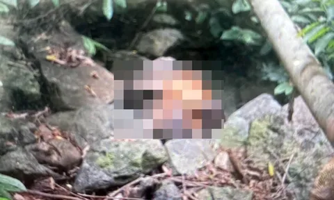 Phát hiện thi thể người phụ nữ không mảnh vải che thân, lộ rõ dấu hiệu án mạng