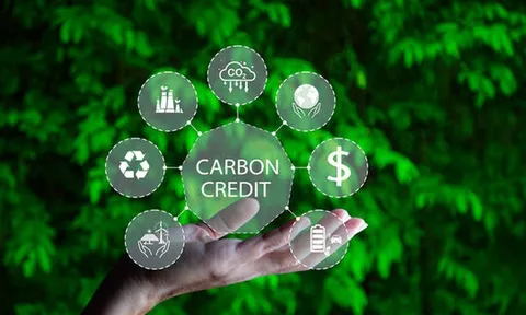 Vận hành thí điểm Sàn giao dịch carbon