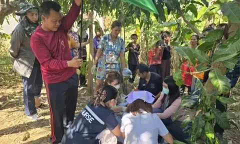 Nghe âm thanh lạ trong vườn chuối, cụ bà phát hiện sự thật đau lòng