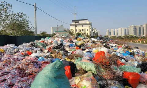 Bãi rác ngập bánh kẹo còn nguyên bao bì ở thủ phủ La Phù, Hà Nội, chính quyền nói gì?
