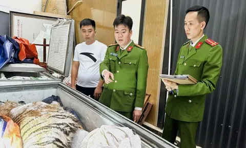 Bắt Hoàng Đình Đạt và Nguyễn Doãn Sơn, lộ hầm giấu 2 con hổ trị giá 2 tỷ đồng