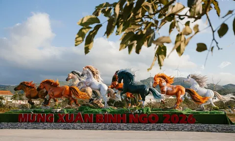 6 con giáp dự báo may mắn rực rỡ về tiền bạc và tình duyên năm 2026