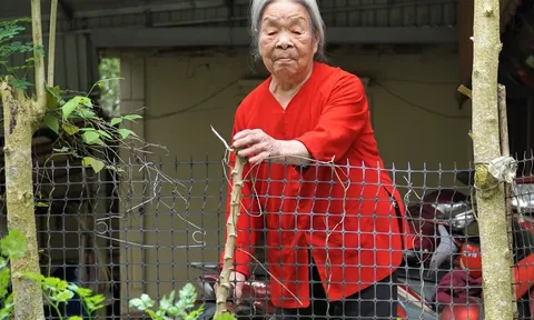 Sống hơn một thế kỷ, hai cụ già hơn trăm tuổi tiết lộ thói quen ăn uống khác biệt đến bất ngờ