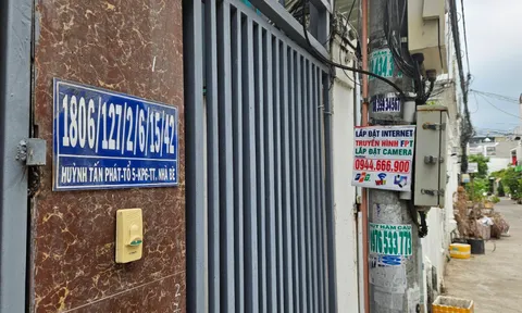 TP.HCM sắp “dẹp loạn” số nhà "siêu xuyệt" bằng GIS, vậy GIS là gì?