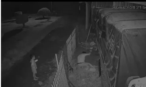 Đồng Tháp: Chồng đâm vợ liên tiếp trước mặt con nhỏ, xót xa lời van xin "đừng xử lý mẹ mà"