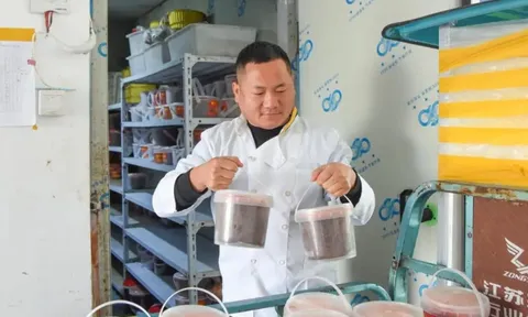 Cậu bé trong trại mồ côi và cú đặt cược 800 triệu đồng làm nên thương hiệu bò hầm