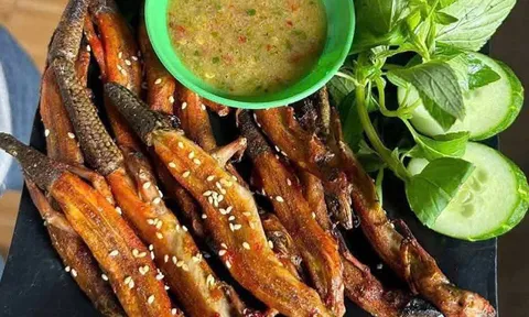 Tưởng nhìn thấy phải “chạy mất dép”, ai ngờ giờ lên bàn nhậu giá cao ngất, thực khách tranh nhau gọi