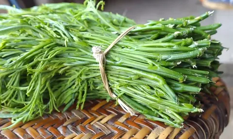 Rau gì đứng cách vài mét vẫn ngửi thấy, giá lên tới 70.000 đồng/kg vẫn đắt khách?