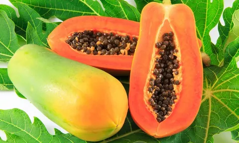 Loại quả từng rụng đầy gốc không ai tiếc, nay bất ngờ lọt top "20 loại trái cây tốt nhất thế giới"