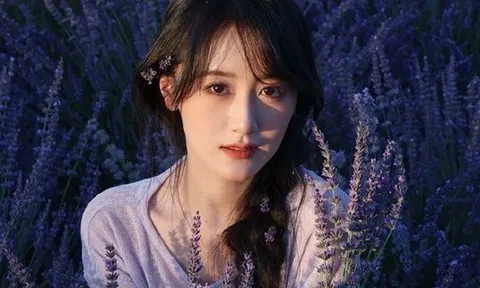 Hết hạn "phong sát", Viên Băng Nghiên rục rịch tái xuất sau 4 năm "bay màu" vì trốn thuế