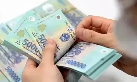 Mỗi người lao động sẽ được nhận hơn 500.000 đồng tiền trợ cấp theo Nghị định 213 khi được huy động tham gia hoạt động nào và gồm những khoản tiền nào?