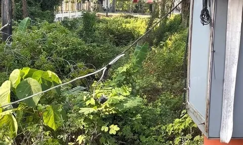 Người đàn ông bị điện giật tử vong khi đang thực hiện vụ trộm: Hiện trường ám ảnh với chiếc đèn pin vẫn còn trên đầu